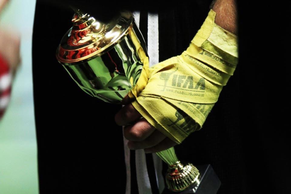 Erfolge und Trophäen